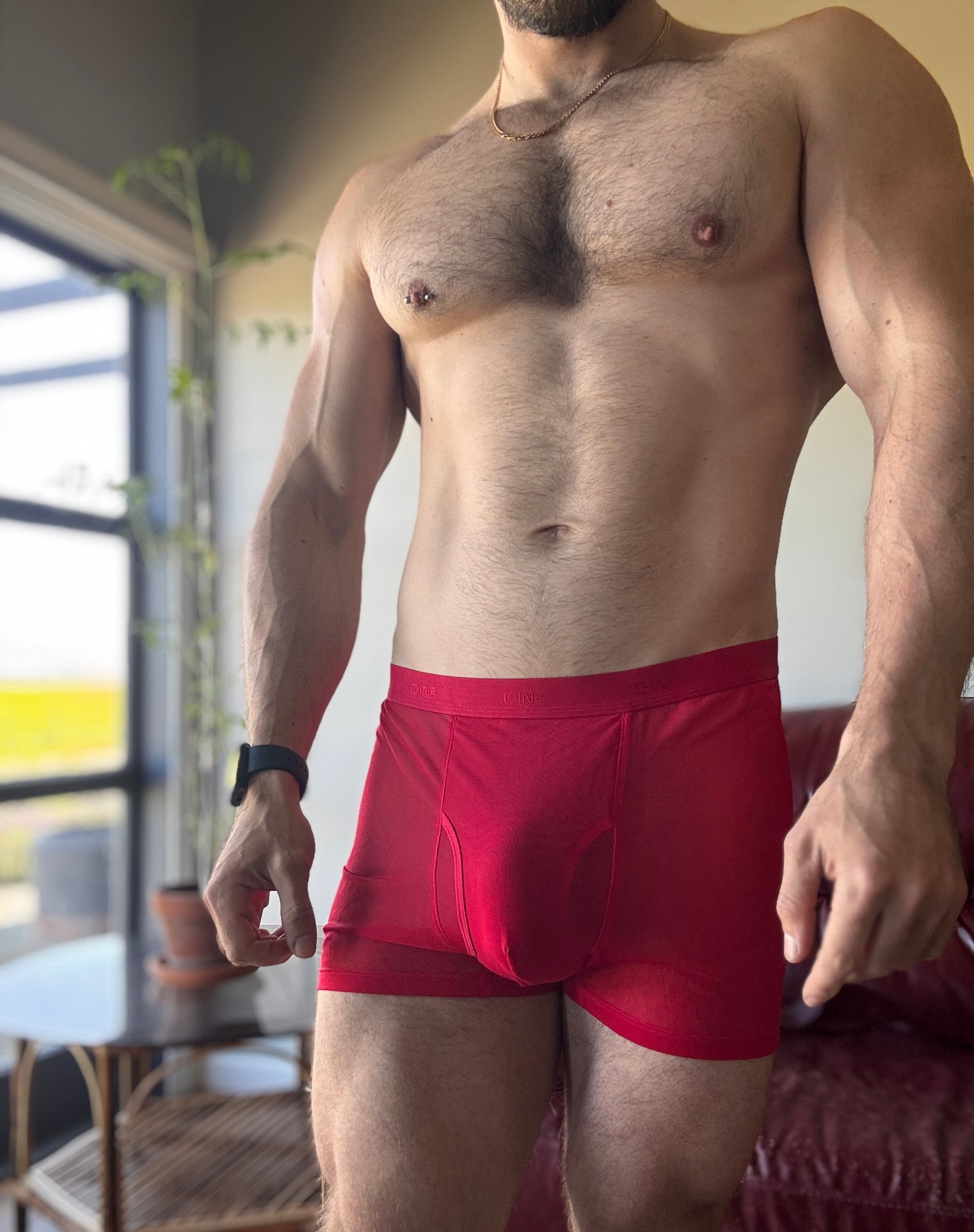 C-IN2 Sheer Red Boxer Briefs