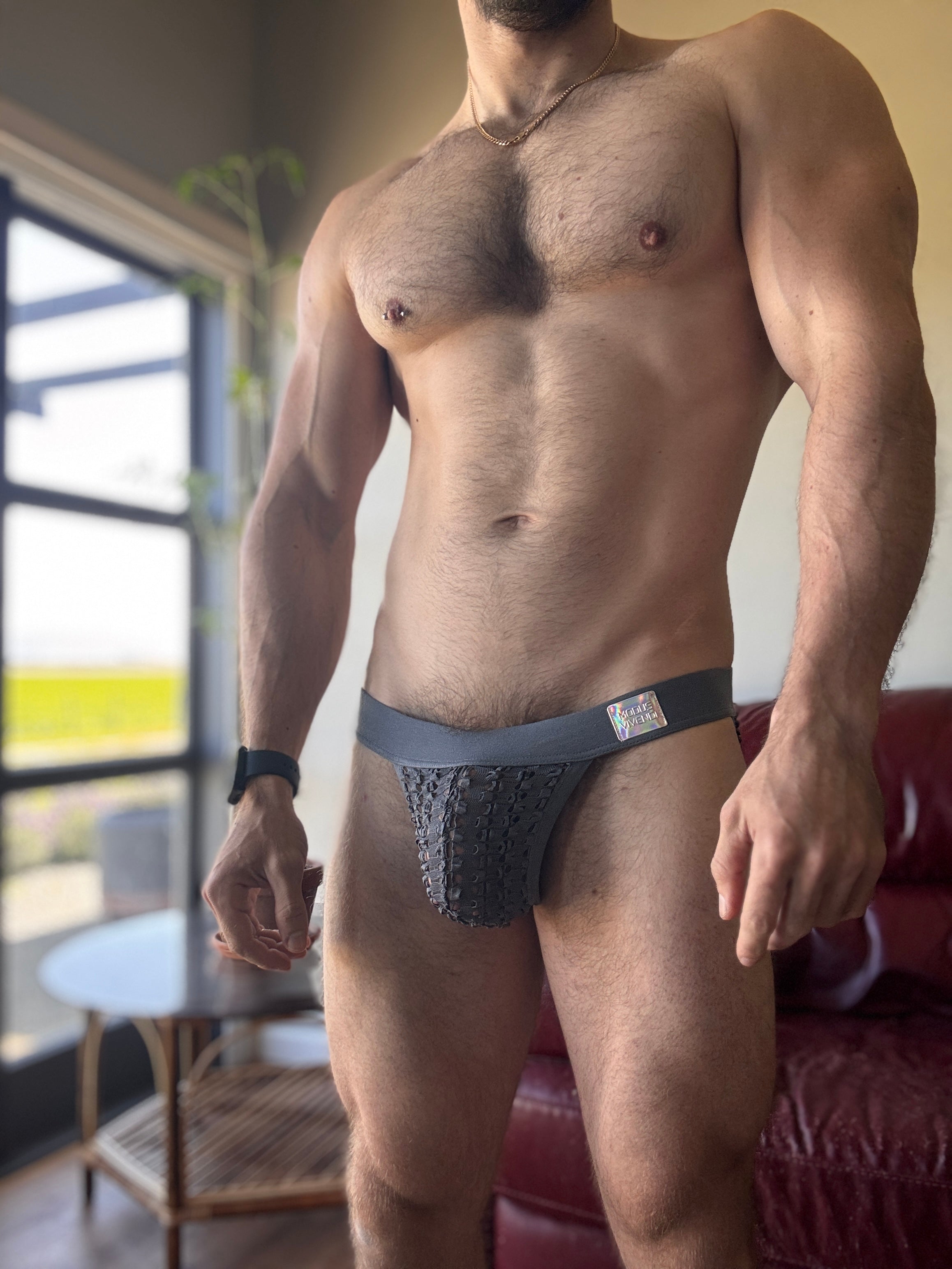 Modus Vivendi Briefs