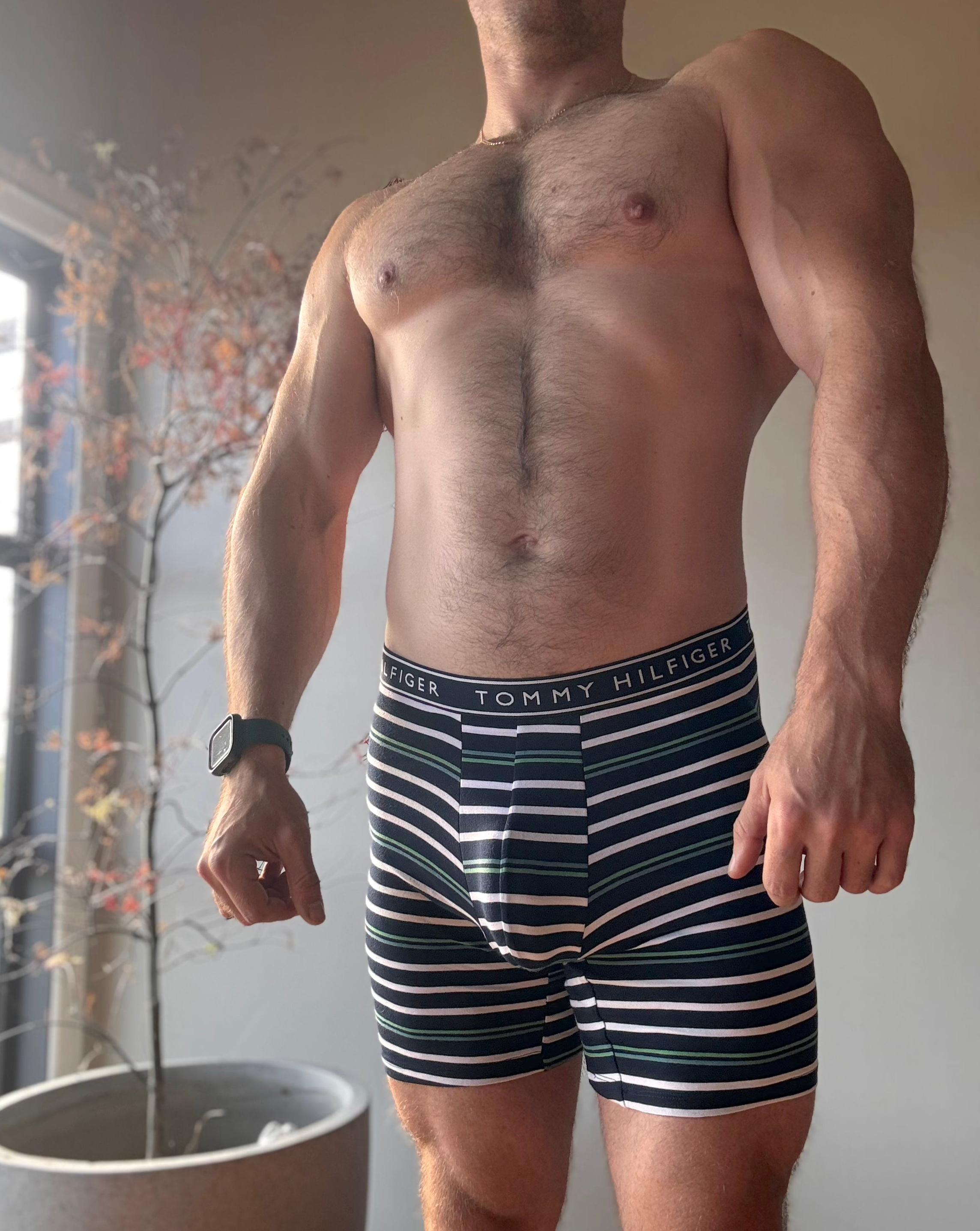 Tommy Hilfiger Striped Boxer Briefs