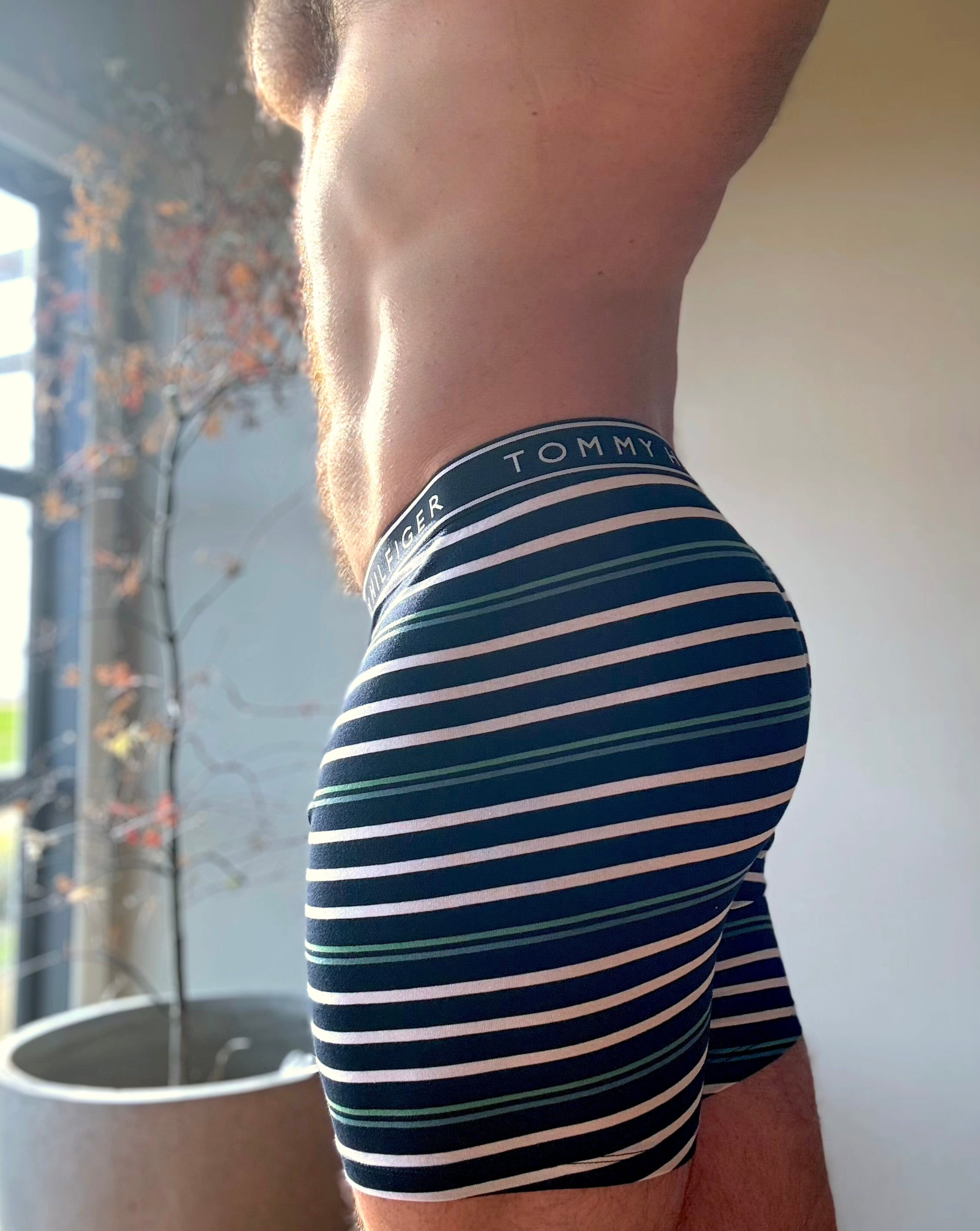 Tommy Hilfiger Striped Boxer Briefs