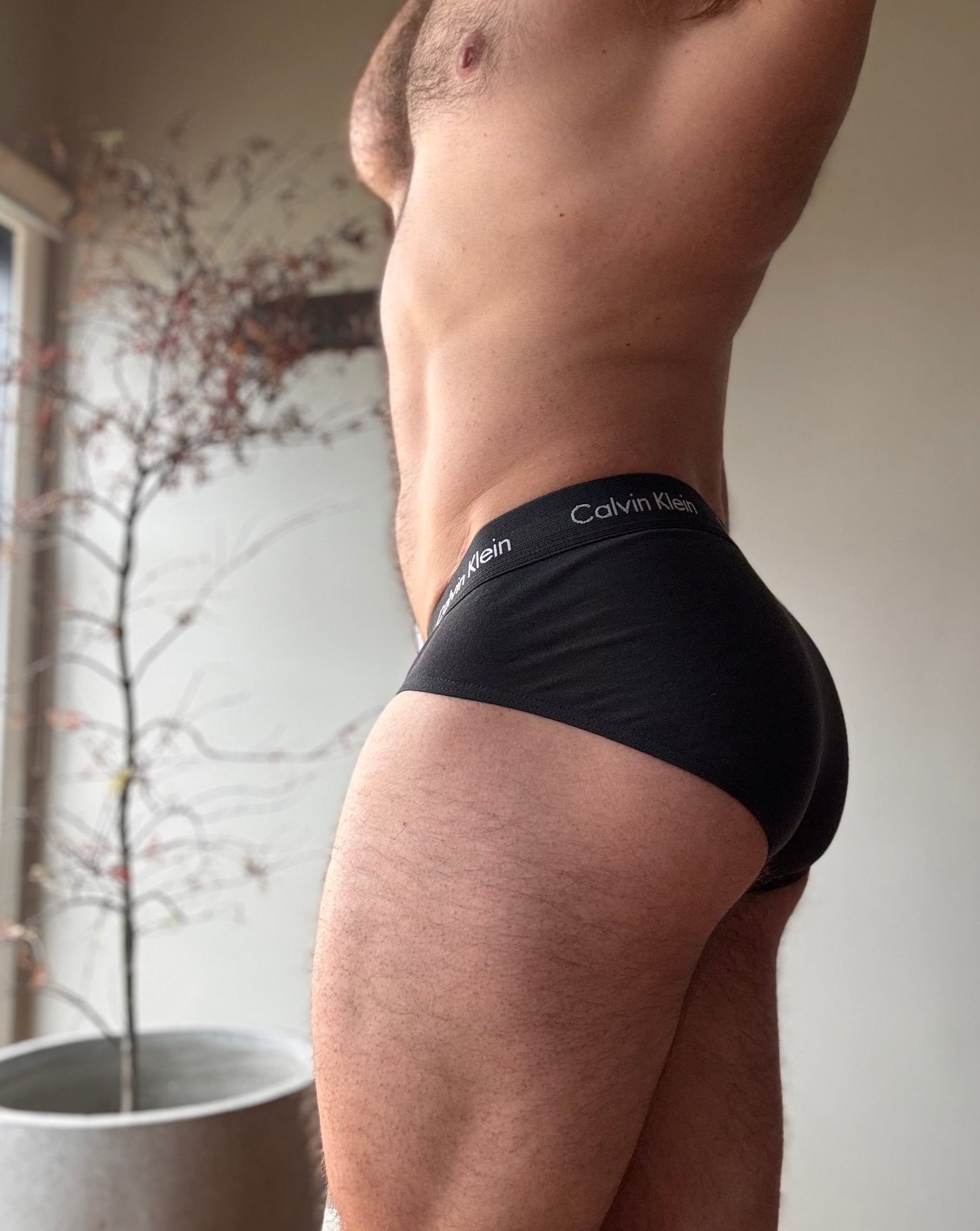 Calvin Klein Briefs