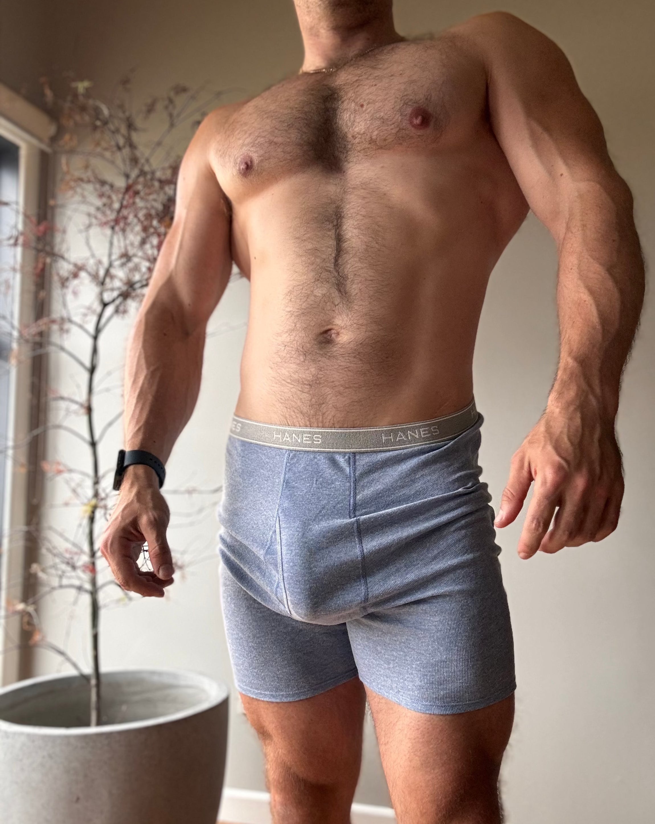 Hanes Boxershorts