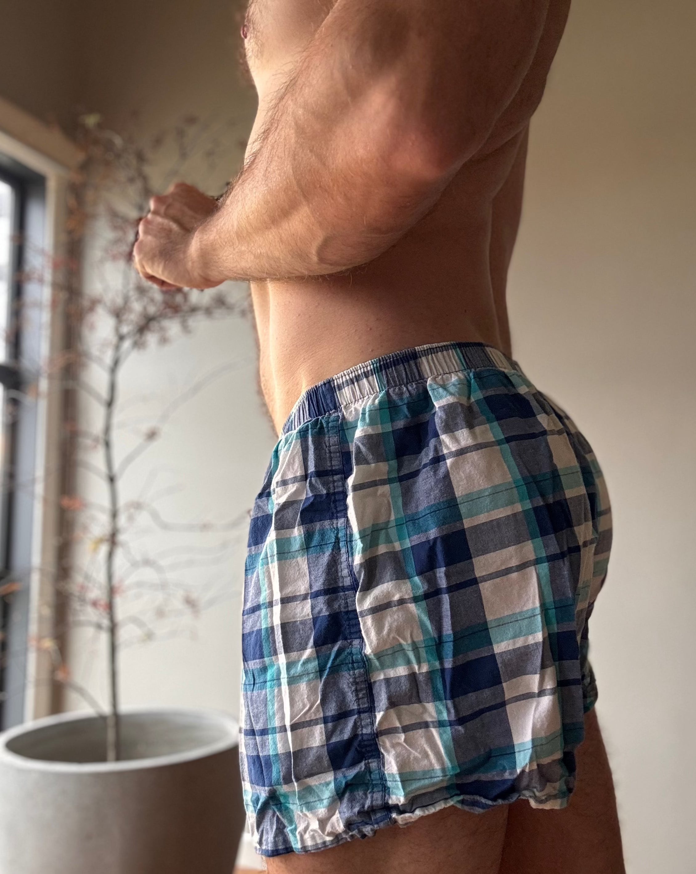 H&H Boxers