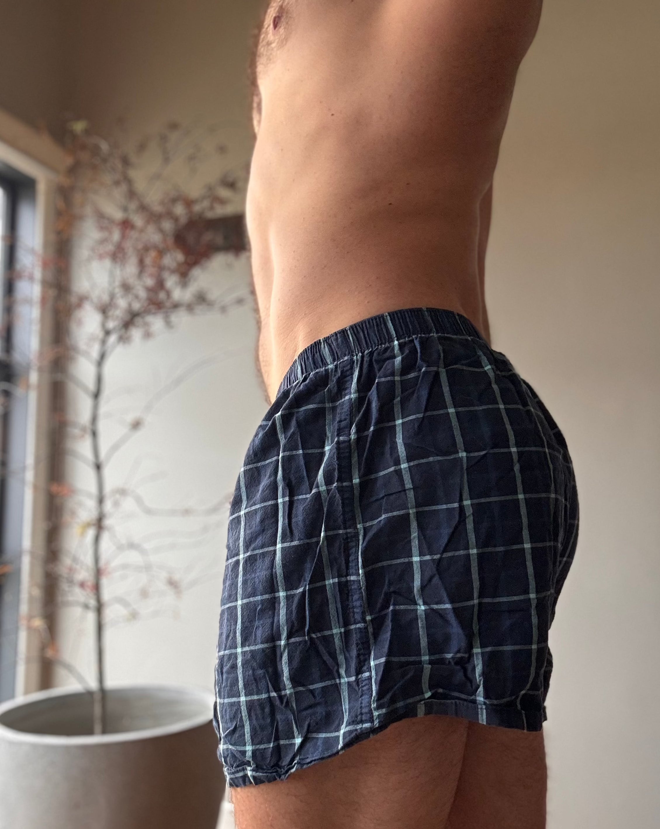 H&H Boxers