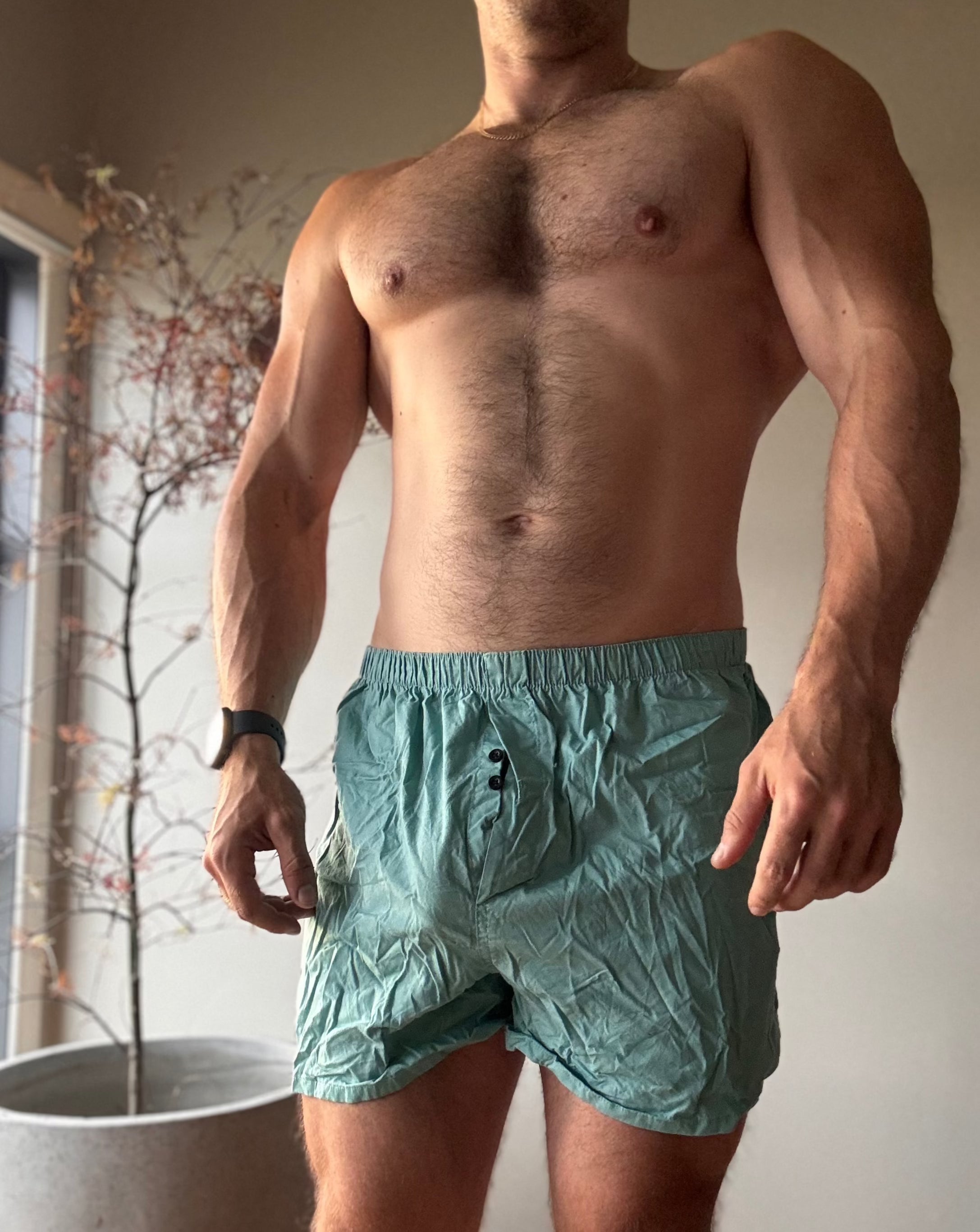 H&H Boxers