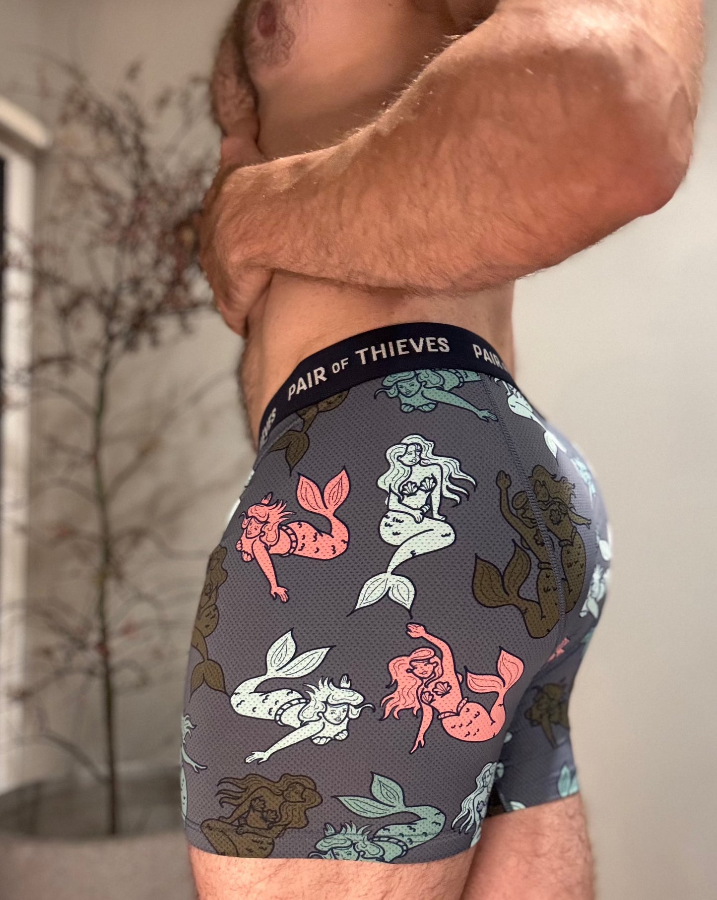 Pair of Thieves Boxer Briefs