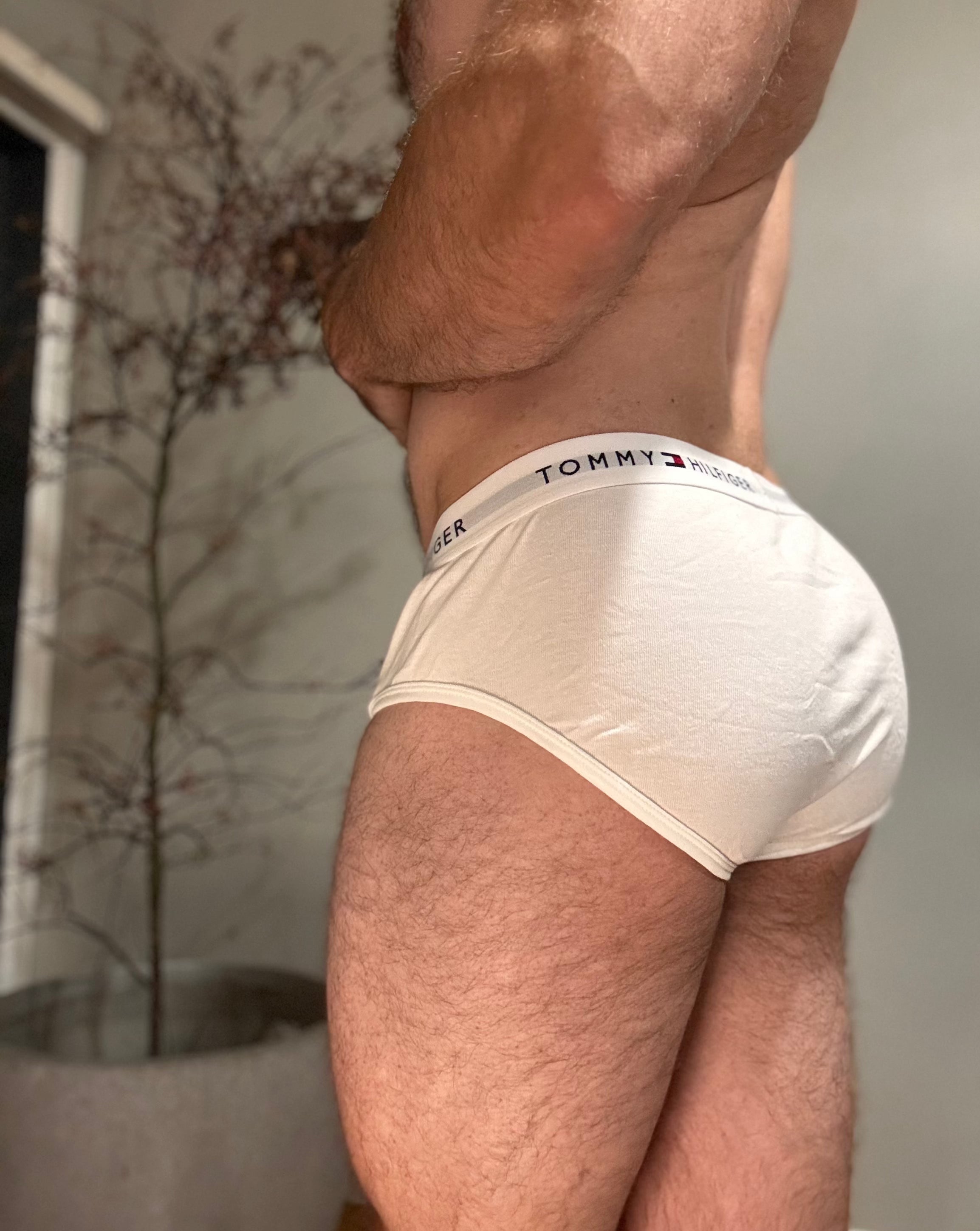 Tommy Hilfiger Briefs