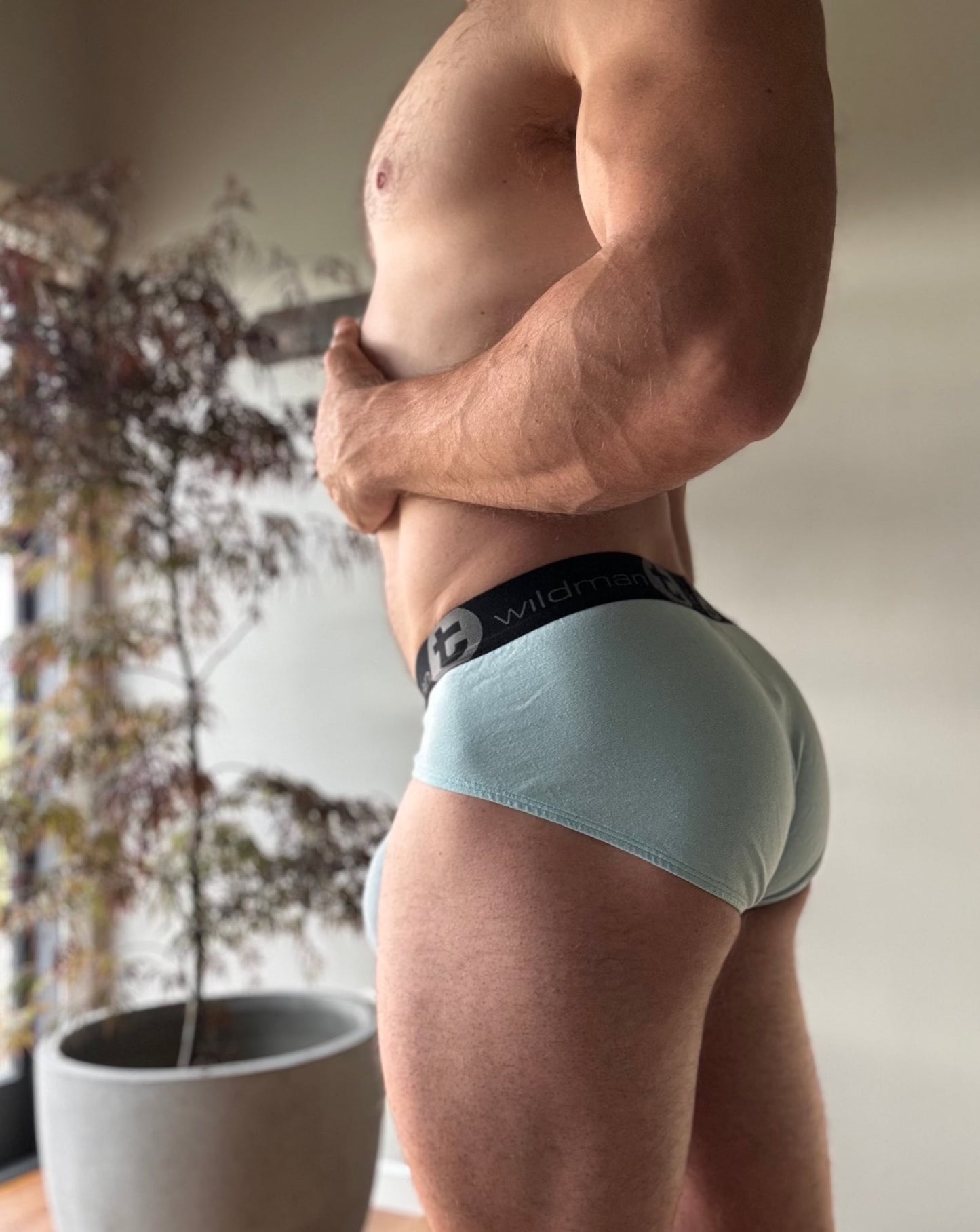 WildmanT Briefs in Light Blue