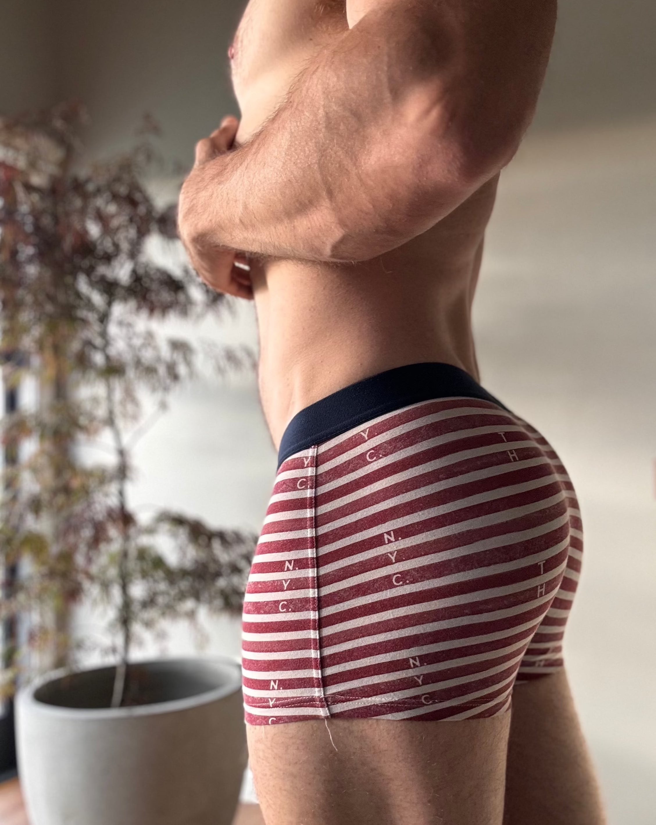 Tommy Hilfiger Striped Boxer Briefs