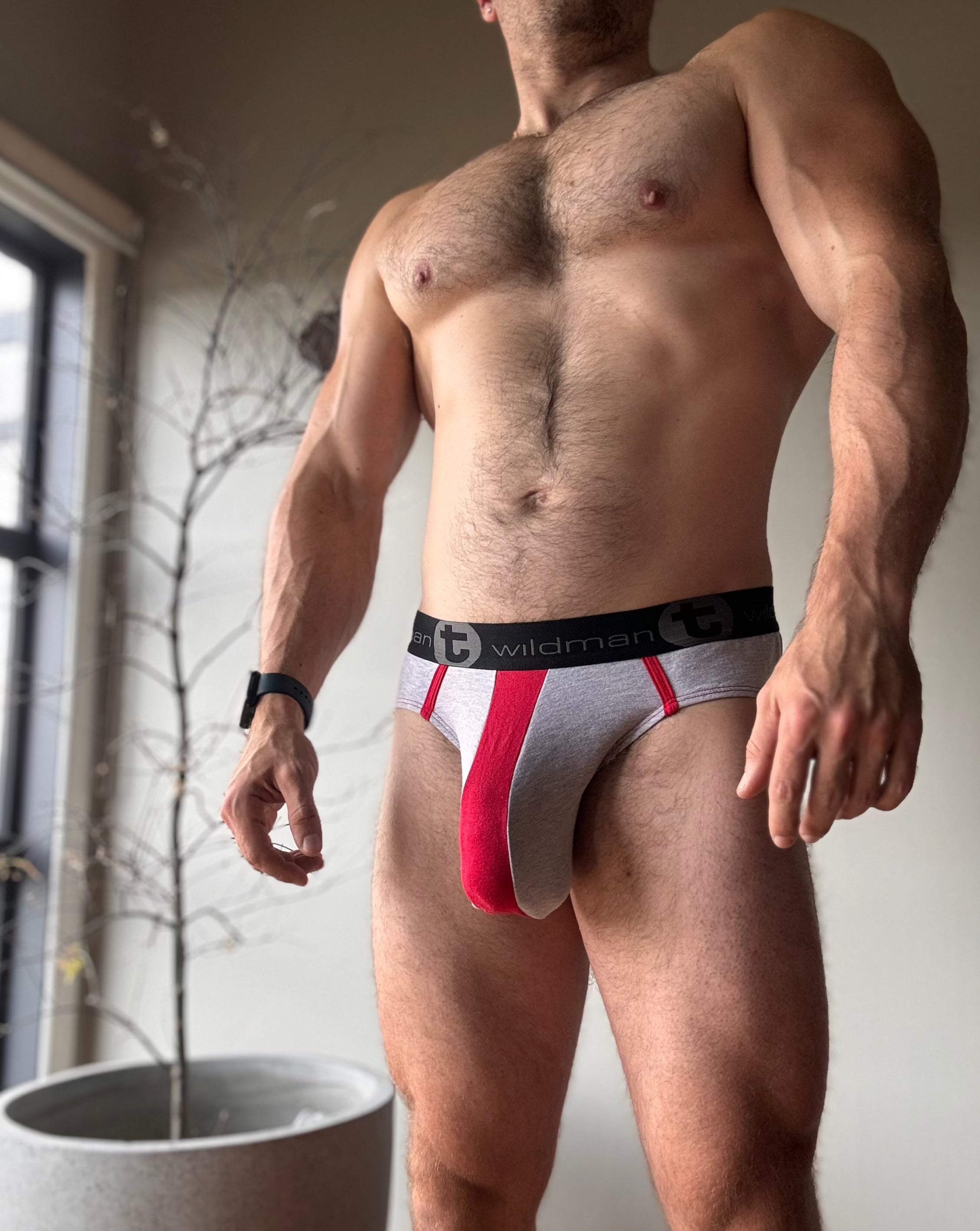 WildmanT Grey Briefs