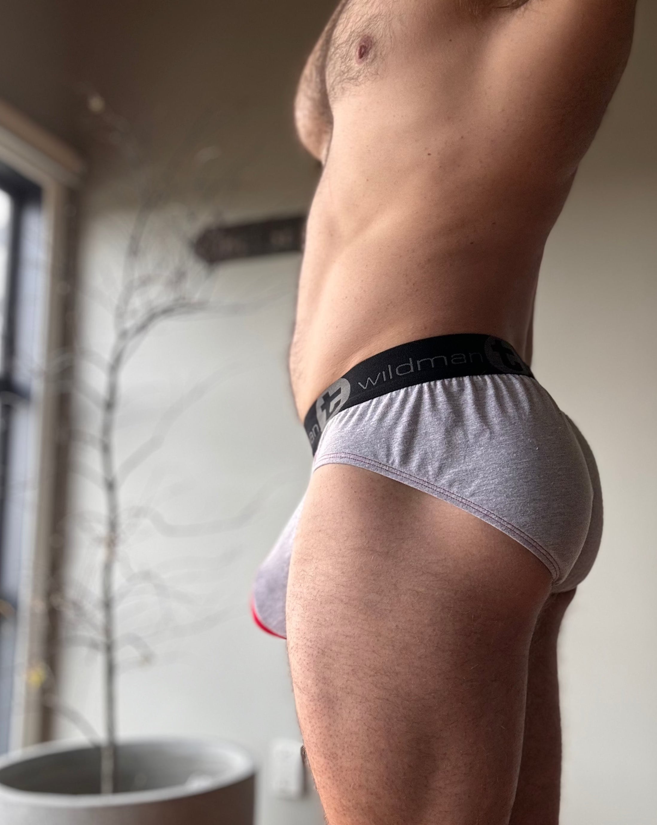 WildmanT Grey Briefs