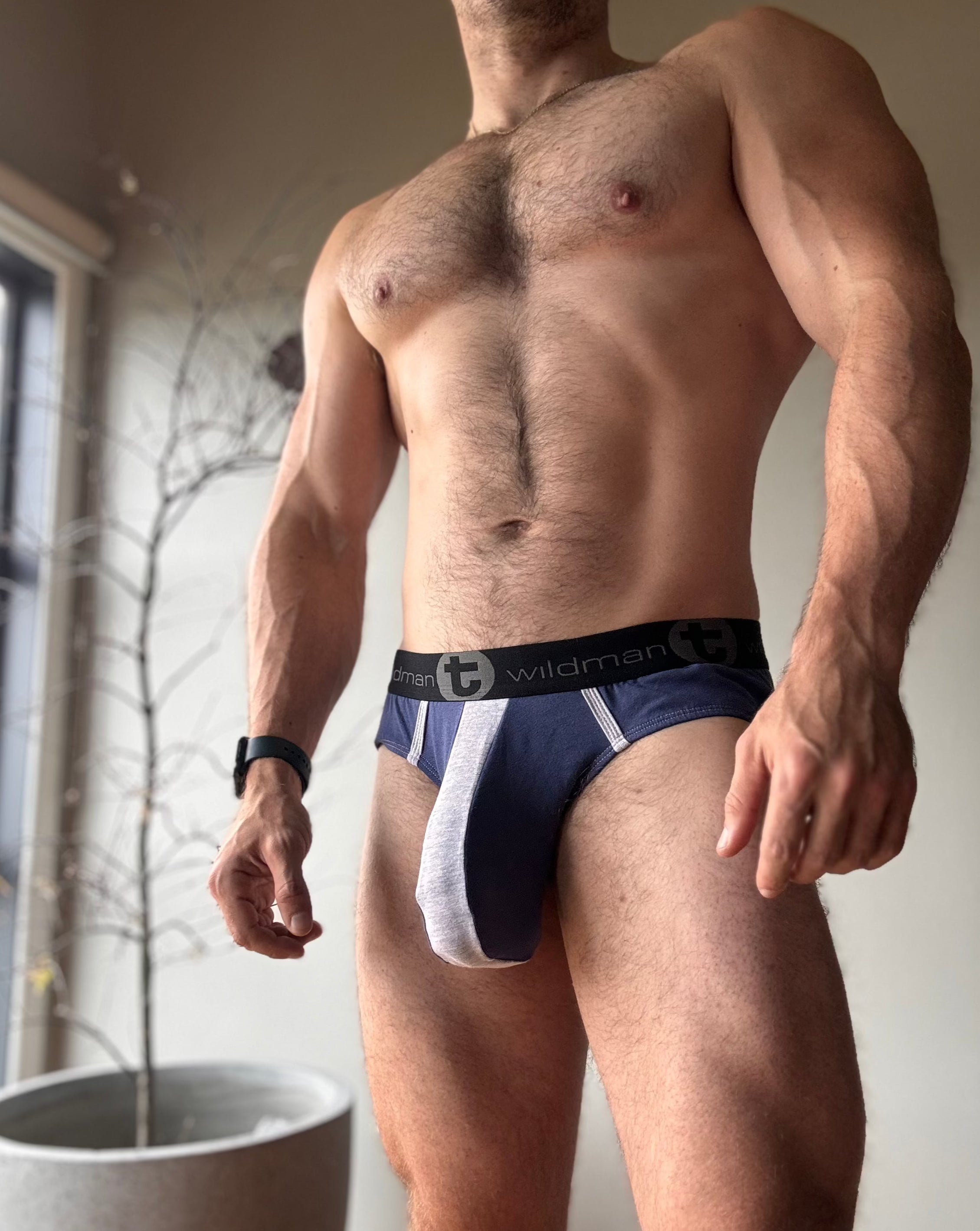 WildmanT Briefs