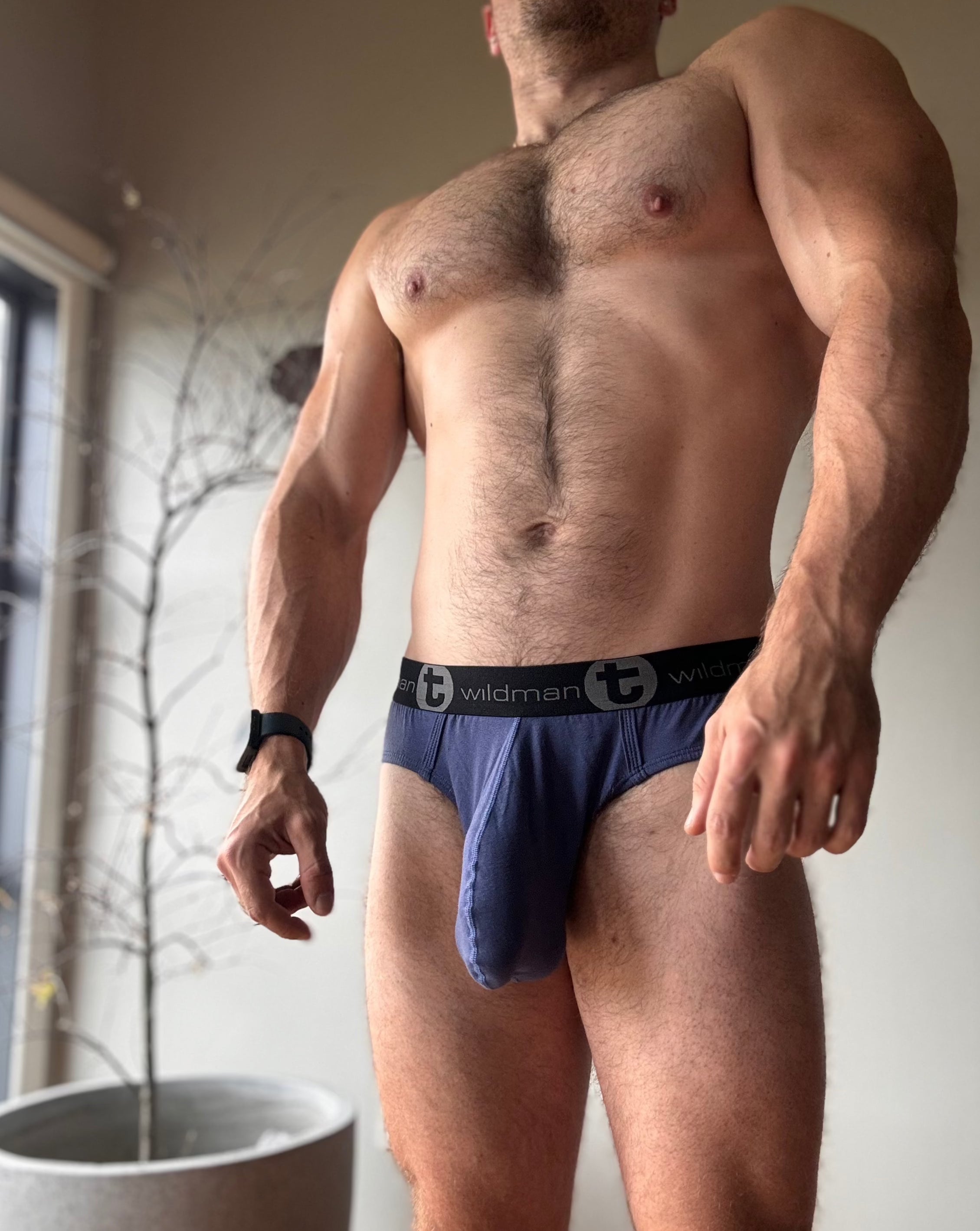 WildmanT Briefs