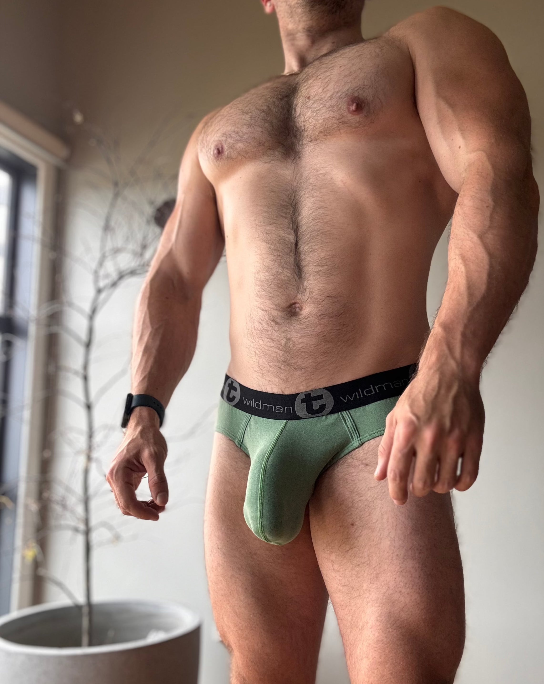 WildmanT Briefs