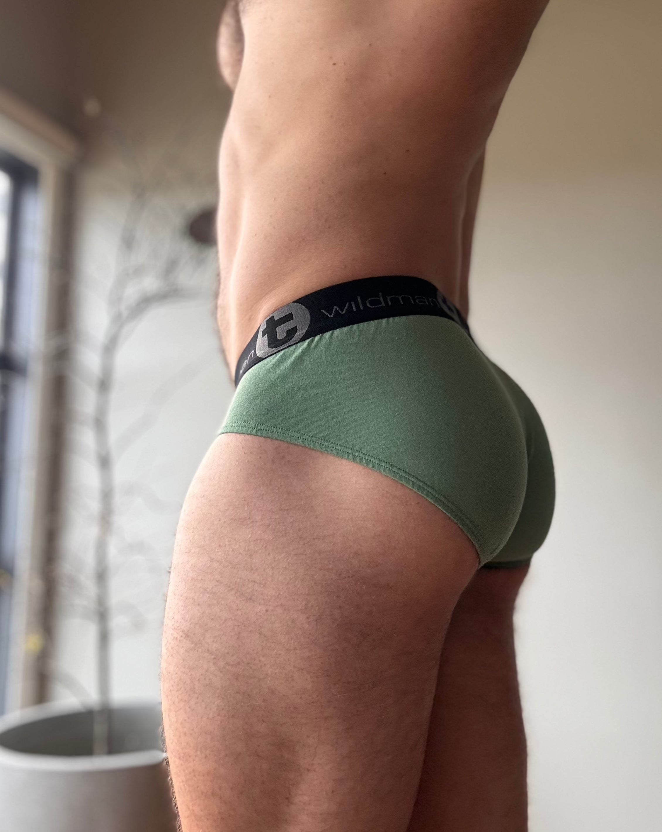 WildmanT Briefs